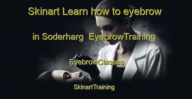 Skinart Learn how to eyebrow in Soderharg | EyebrowTraining | EyebrowClasses | SkinartTraining-Sweden