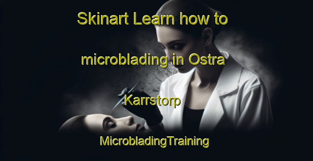 Skinart Learn how to microblading in Ostra Karrstorp | #MicrobladingTraining #MicrobladingClasses #SkinartTraining-Sweden