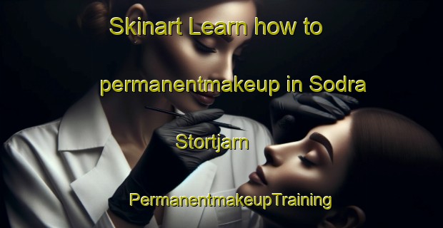 Skinart Learn how to permanentmakeup in Sodra Stortjarn | #PermanentmakeupTraining #PermanentmakeupClasses #SkinartTraining-Sweden