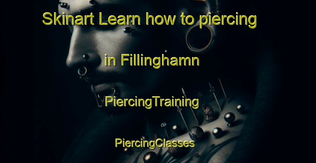 Skinart Learn how to piercing in Fillinghamn | PiercingTraining | PiercingClasses | SkinartTraining-Sweden