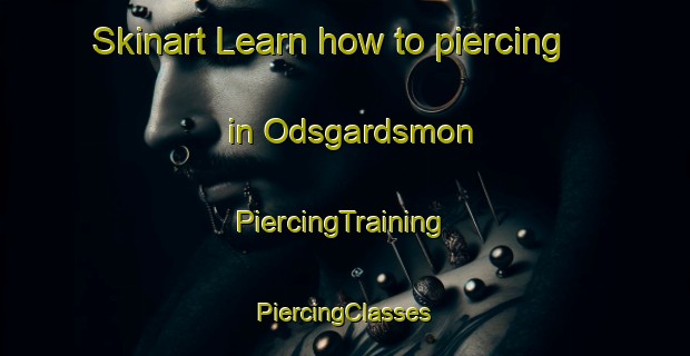 Skinart Learn how to piercing in Odsgardsmon | #PiercingTraining #PiercingClasses #SkinartTraining-Sweden