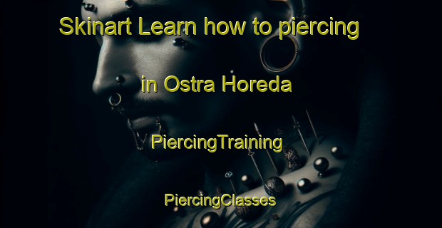 Skinart Learn how to piercing in Ostra Horeda | #PiercingTraining #PiercingClasses #SkinartTraining-Sweden