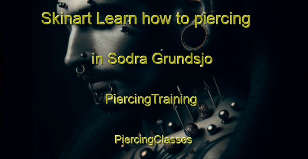 Skinart Learn how to piercing in Sodra Grundsjo | #PiercingTraining #PiercingClasses #SkinartTraining-Sweden