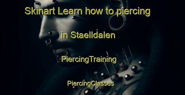 Skinart Learn how to piercing in Staelldalen | PiercingTraining | PiercingClasses | SkinartTraining-Sweden