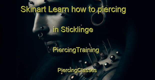 Skinart Learn how to piercing in Sticklinge | #PiercingTraining #PiercingClasses #SkinartTraining-Sweden