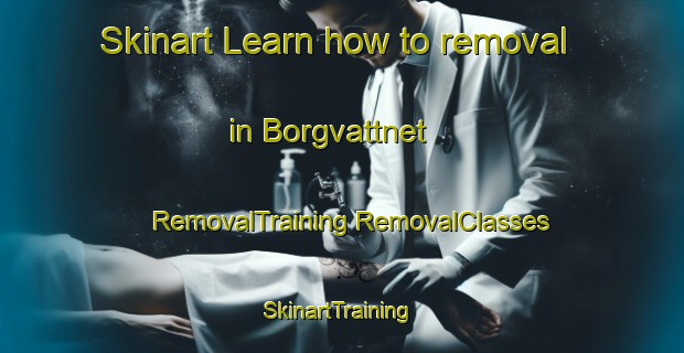 Skinart Learn how to removal in Borgvattnet | #RemovalTraining #RemovalClasses #SkinartTraining-Sweden