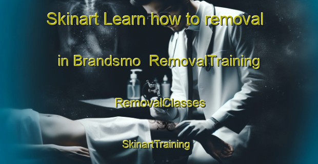 Skinart Learn how to removal in Brandsmo | RemovalTraining | RemovalClasses | SkinartTraining-Sweden
