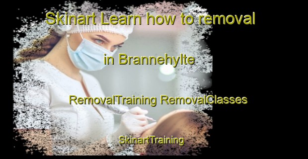 Skinart Learn how to removal in Brannehylte | #RemovalTraining #RemovalClasses #SkinartTraining-Sweden