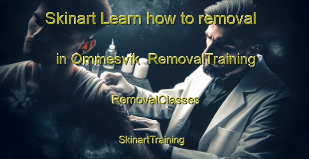 Skinart Learn how to removal in Ommesvik | RemovalTraining | RemovalClasses | SkinartTraining-Sweden