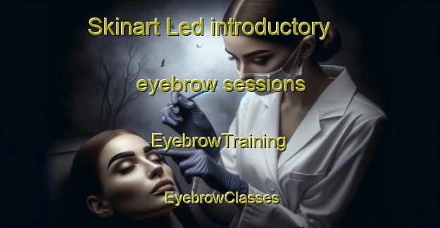 Skinart Led introductory eyebrow sessions | EyebrowTraining | EyebrowClasses | SkinartTraining-Sweden