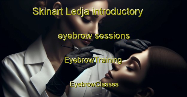 Skinart Ledja introductory eyebrow sessions | EyebrowTraining | EyebrowClasses | SkinartTraining-Sweden