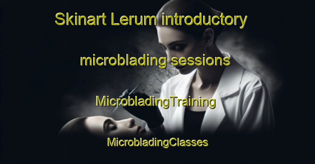 Skinart Lerum introductory microblading sessions | #MicrobladingTraining #MicrobladingClasses #SkinartTraining-Sweden