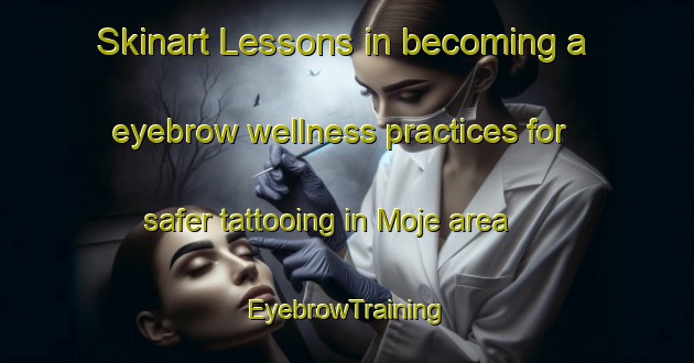 Skinart Lessons in becoming a eyebrow wellness practices for safer tattooing in Moje area | EyebrowTraining | EyebrowClasses | SkinartTraining-Sweden