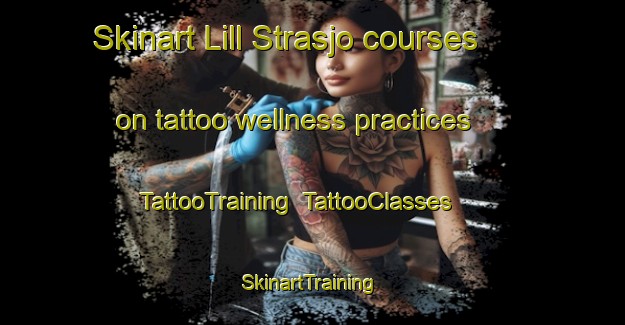 Skinart Lill Strasjo courses on tattoo wellness practices | TattooTraining | TattooClasses | SkinartTraining-Sweden