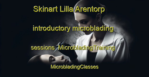 Skinart Lilla Arentorp introductory microblading sessions | #MicrobladingTraining #MicrobladingClasses #SkinartTraining-Sweden