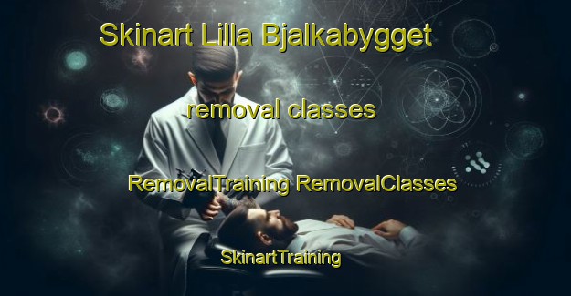 Skinart Lilla Bjalkabygget removal classes | #RemovalTraining #RemovalClasses #SkinartTraining-Sweden