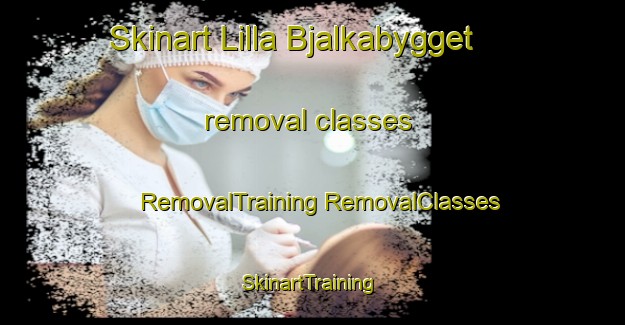 Skinart Lilla Bjalkabygget removal classes | #RemovalTraining #RemovalClasses #SkinartTraining-Sweden