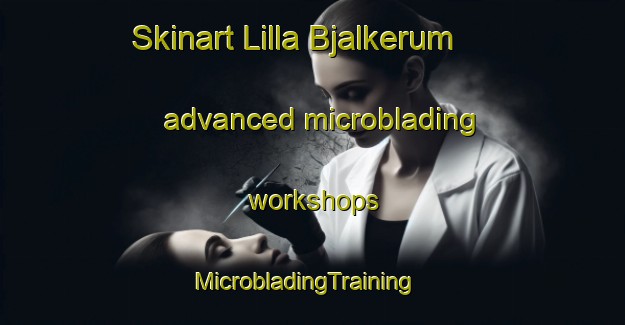Skinart Lilla Bjalkerum advanced microblading workshops | MicrobladingTraining | MicrobladingClasses | SkinartTraining-Sweden