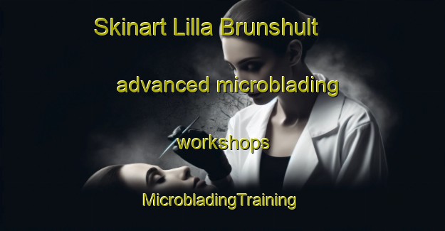 Skinart Lilla Brunshult advanced microblading workshops | #MicrobladingTraining #MicrobladingClasses #SkinartTraining-Sweden