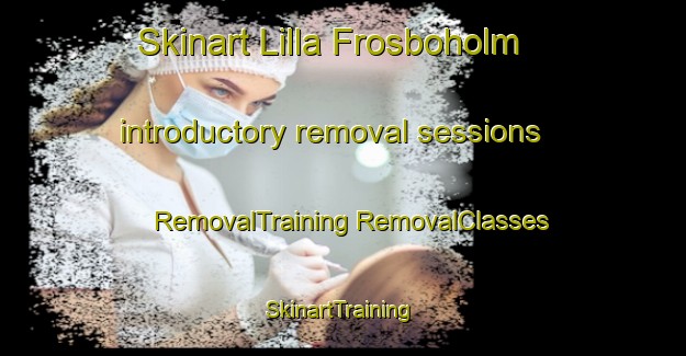 Skinart Lilla Frosboholm introductory removal sessions | #RemovalTraining #RemovalClasses #SkinartTraining-Sweden