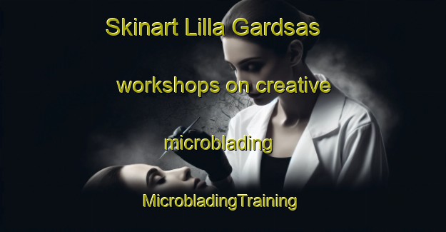 Skinart Lilla Gardsas workshops on creative microblading | #MicrobladingTraining #MicrobladingClasses #SkinartTraining-Sweden