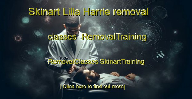 Skinart Lilla Harrie removal classes | #RemovalTraining #RemovalClasses #SkinartTraining-Sweden