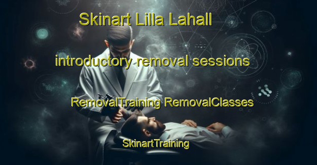 Skinart Lilla Lahall introductory removal sessions | #RemovalTraining #RemovalClasses #SkinartTraining-Sweden