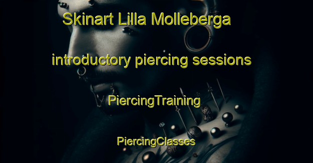 Skinart Lilla Molleberga introductory piercing sessions | #PiercingTraining #PiercingClasses #SkinartTraining-Sweden