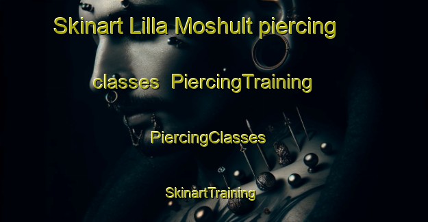 Skinart Lilla Moshult piercing classes | PiercingTraining | PiercingClasses | SkinartTraining-Sweden