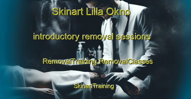 Skinart Lilla Okno introductory removal sessions | #RemovalTraining #RemovalClasses #SkinartTraining-Sweden