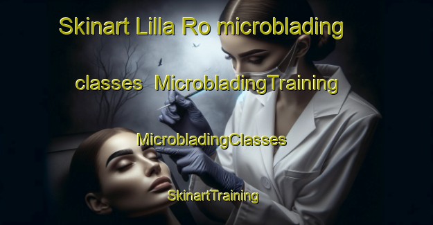 Skinart Lilla Ro microblading classes | MicrobladingTraining | MicrobladingClasses | SkinartTraining-Sweden