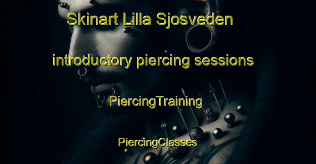 Skinart Lilla Sjosveden introductory piercing sessions | #PiercingTraining #PiercingClasses #SkinartTraining-Sweden