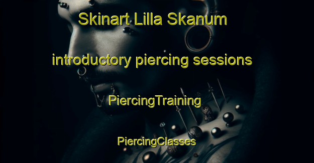 Skinart Lilla Skanum introductory piercing sessions | #PiercingTraining #PiercingClasses #SkinartTraining-Sweden