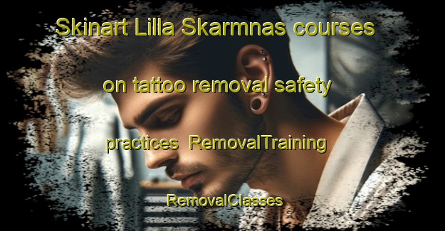 Skinart Lilla Skarmnas courses on tattoo removal safety practices | RemovalTraining | RemovalClasses | SkinartTraining-Sweden