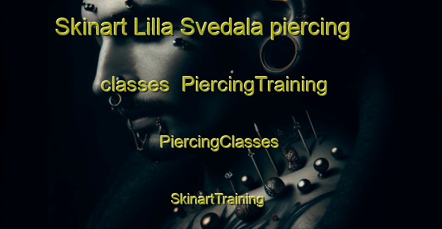 Skinart Lilla Svedala piercing classes | #PiercingTraining #PiercingClasses #SkinartTraining-Sweden