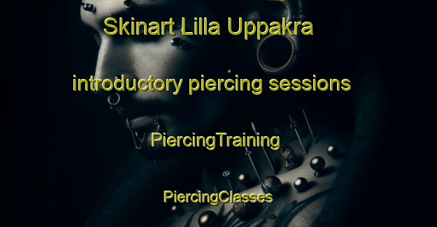 Skinart Lilla Uppakra introductory piercing sessions | #PiercingTraining #PiercingClasses #SkinartTraining-Sweden