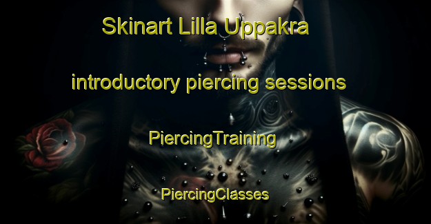 Skinart Lilla Uppakra introductory piercing sessions | #PiercingTraining #PiercingClasses #SkinartTraining-Sweden