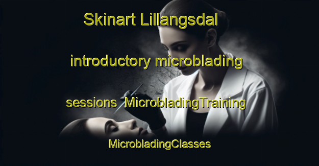 Skinart Lillangsdal introductory microblading sessions | #MicrobladingTraining #MicrobladingClasses #SkinartTraining-Sweden