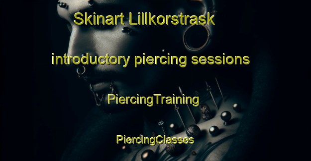 Skinart Lillkorstrask introductory piercing sessions | #PiercingTraining #PiercingClasses #SkinartTraining-Sweden