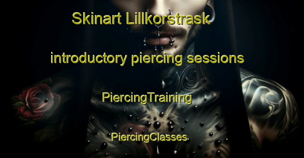 Skinart Lillkorstrask introductory piercing sessions | PiercingTraining | PiercingClasses | SkinartTraining-Sweden