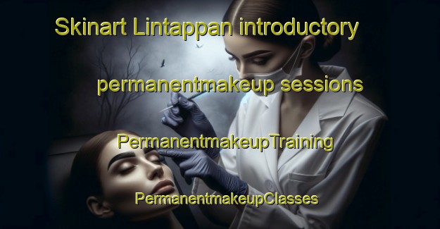 Skinart Lintappan introductory permanentmakeup sessions | PermanentmakeupTraining | PermanentmakeupClasses | SkinartTraining-Sweden