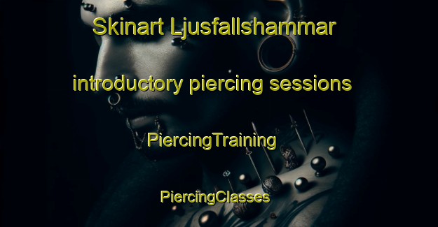 Skinart Ljusfallshammar introductory piercing sessions | PiercingTraining | PiercingClasses | SkinartTraining-Sweden