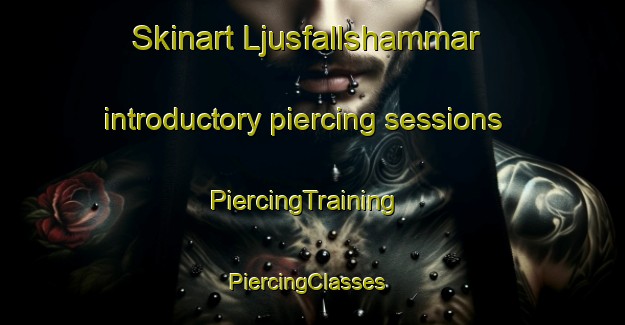 Skinart Ljusfallshammar introductory piercing sessions | PiercingTraining | PiercingClasses | SkinartTraining-Sweden