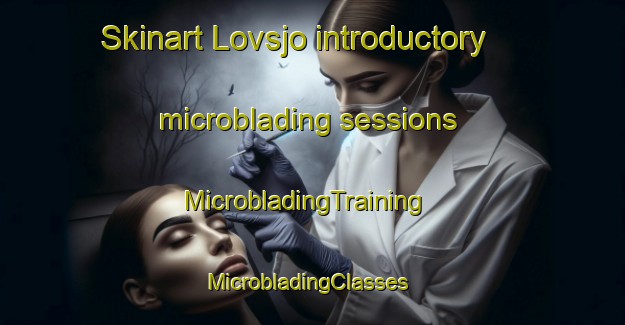 Skinart Lovsjo introductory microblading sessions | MicrobladingTraining | MicrobladingClasses | SkinartTraining-Sweden