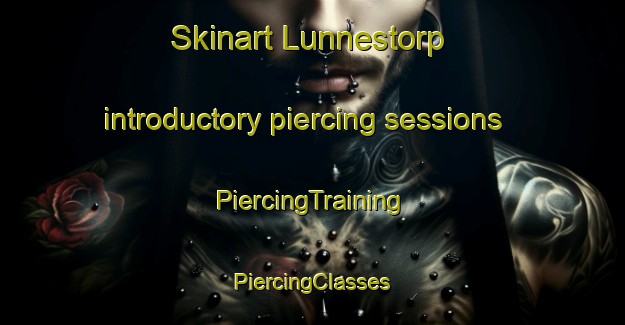 Skinart Lunnestorp introductory piercing sessions | #PiercingTraining #PiercingClasses #SkinartTraining-Sweden