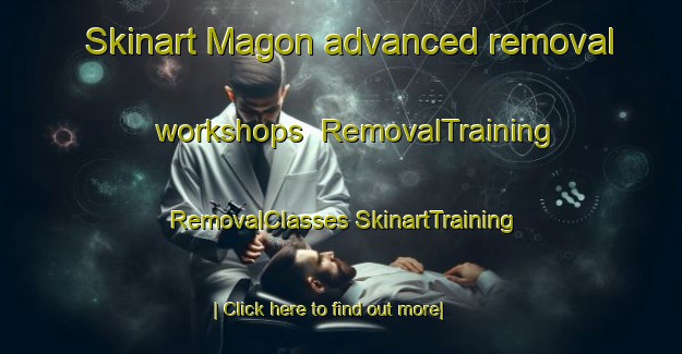 Skinart Magon advanced removal workshops | #RemovalTraining #RemovalClasses #SkinartTraining-Sweden