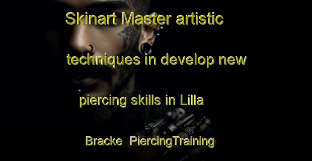 Skinart Master artistic techniques in develop new piercing skills in Lilla Bracke | PiercingTraining | PiercingClasses | SkinartTraining-Sweden