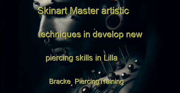 Skinart Master artistic techniques in develop new piercing skills in Lilla Bracke | PiercingTraining | PiercingClasses | SkinartTraining-Sweden