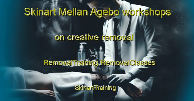 Skinart Mellan Agebo workshops on creative removal | #RemovalTraining #RemovalClasses #SkinartTraining-Sweden