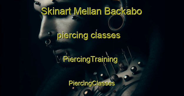 Skinart Mellan Backabo piercing classes | #PiercingTraining #PiercingClasses #SkinartTraining-Sweden